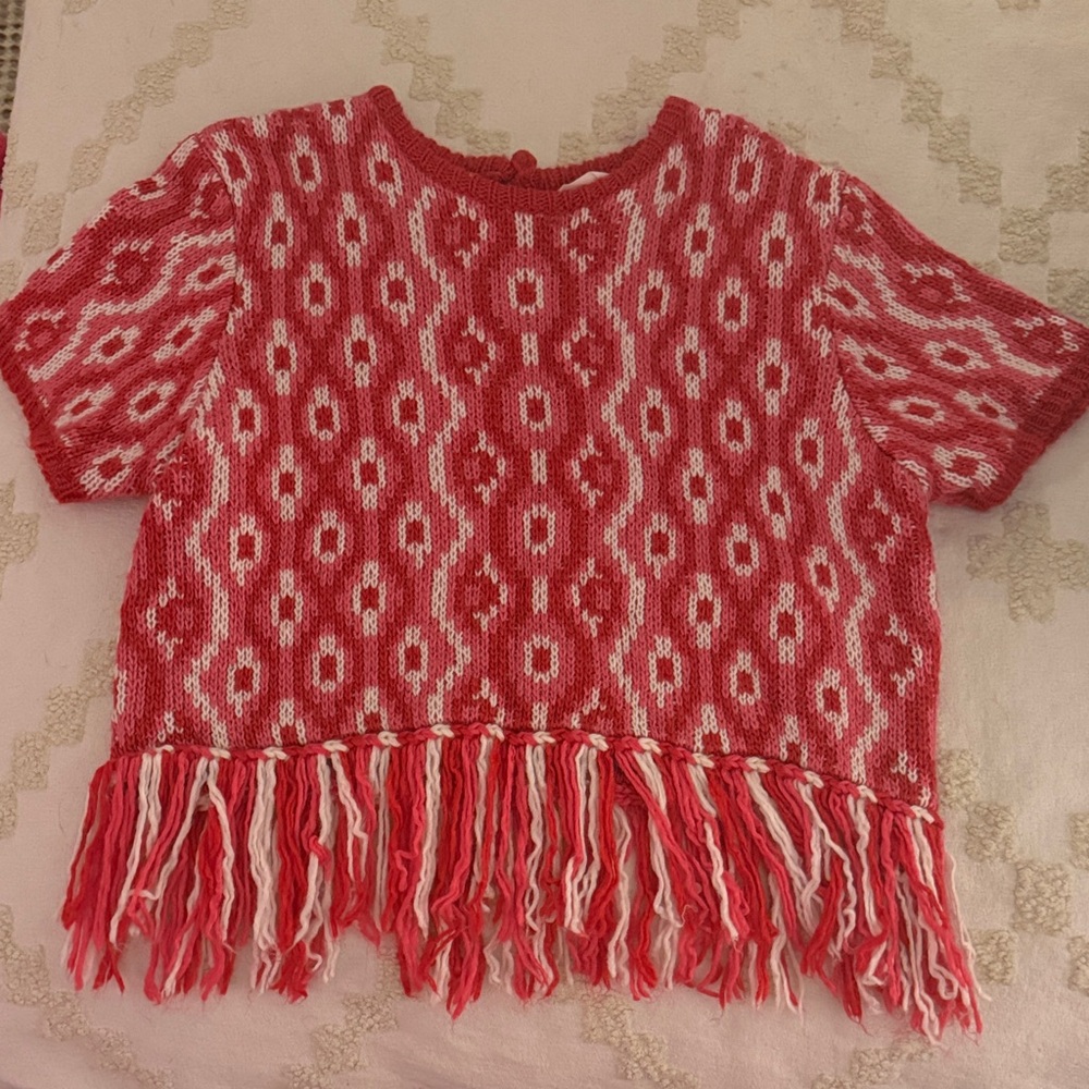 Hyacinth House Knit Fringe Crop Top